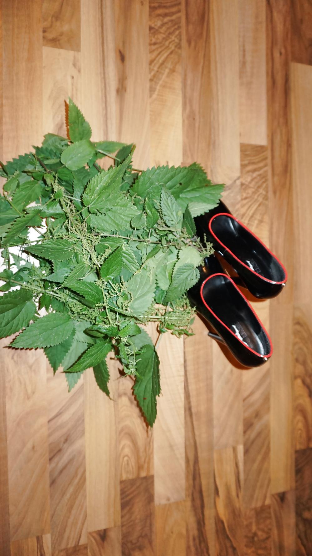 24P Foot torture with nettles (Brennnesseln High Heels)