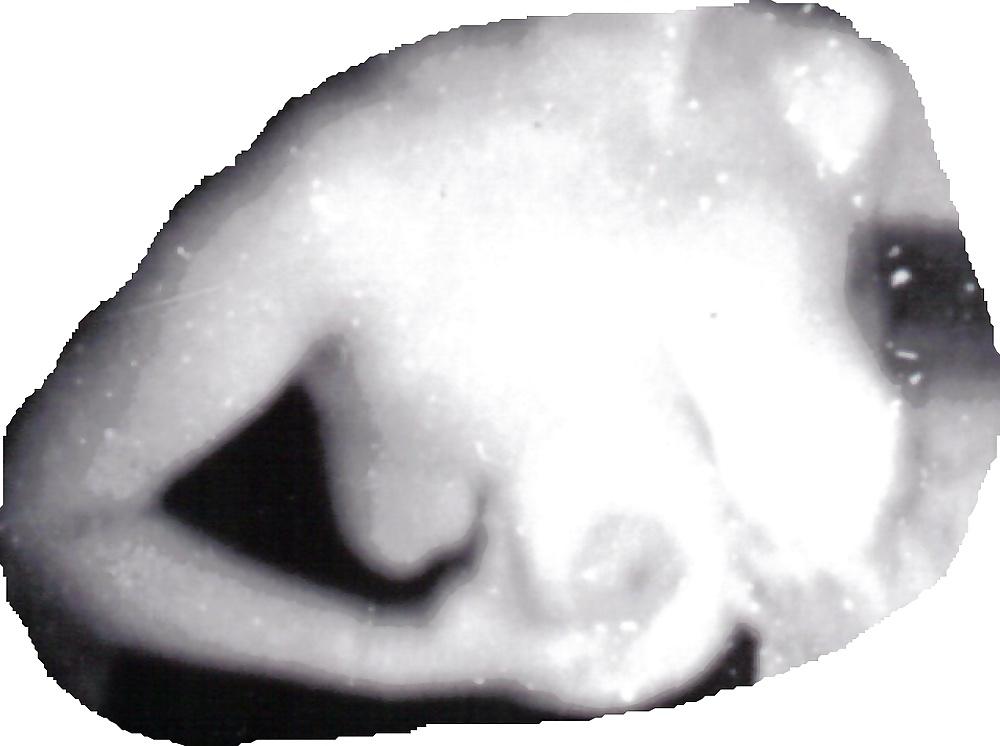 20P My Guy's Mom.  Never knew her but she had great boobs.
