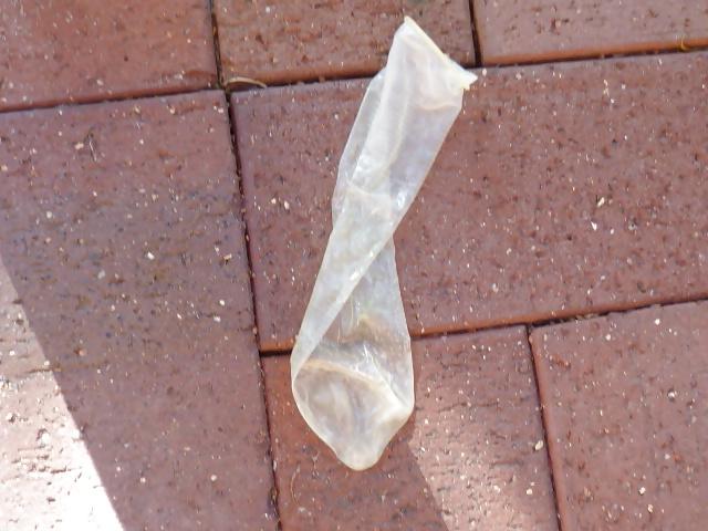 25P Condom