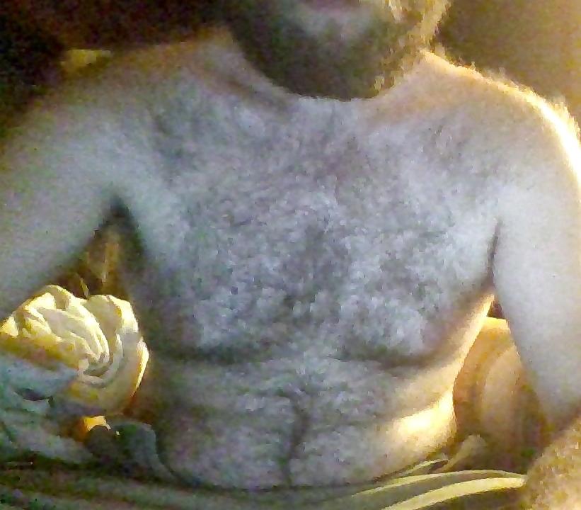 5P The bear