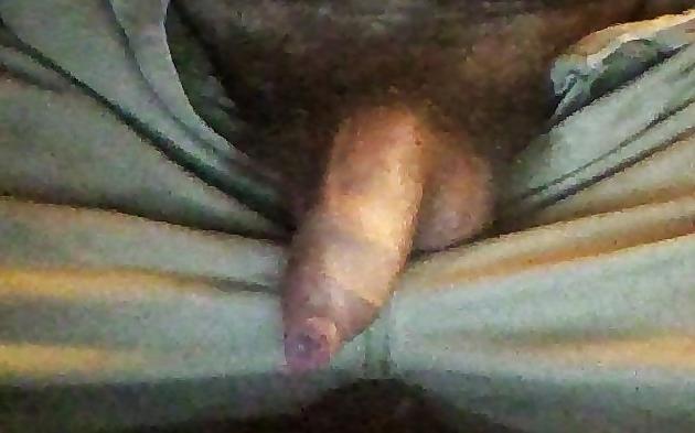 5P The bear