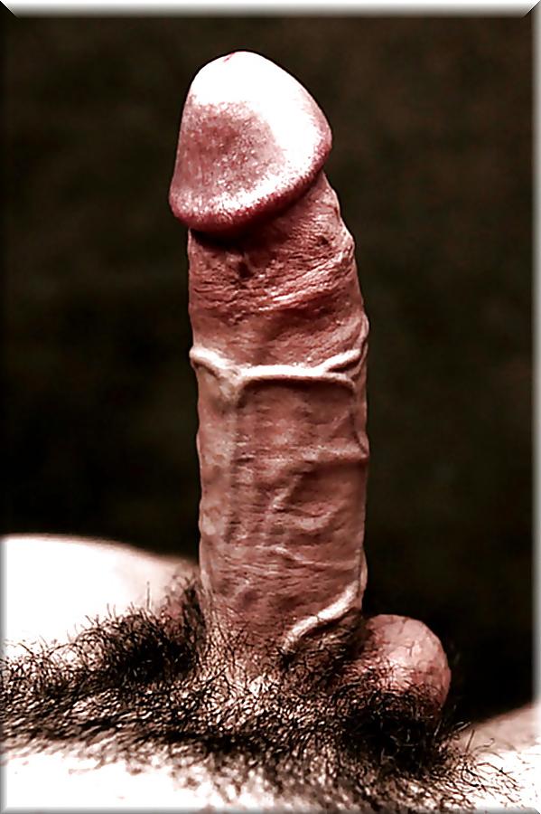 25P Lion's: Pure Beauty - Erection at the limit!