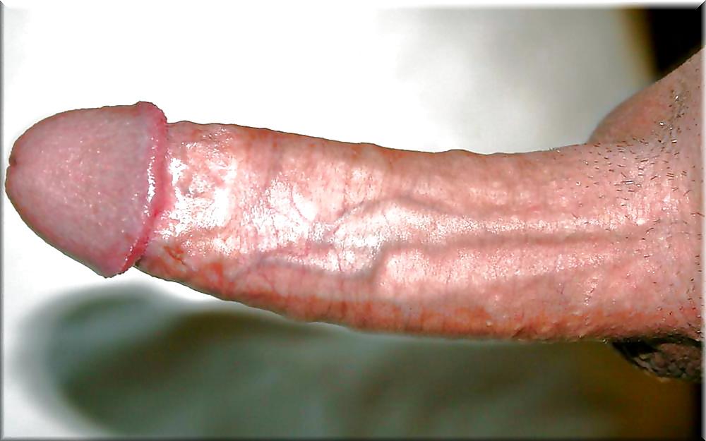 25P Lion's: Pure Beauty- Erection at the limit!