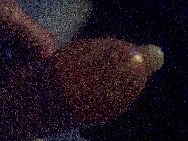 25P I want to put my horn deep in your ...