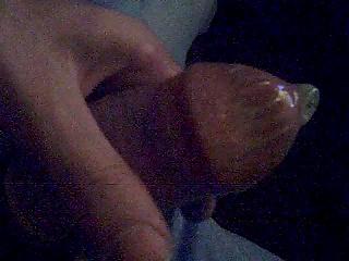 25P I want to put my horn deep in your ...