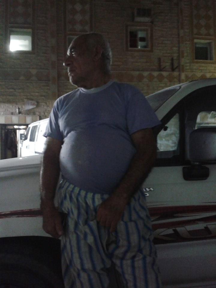 16P Arab bear