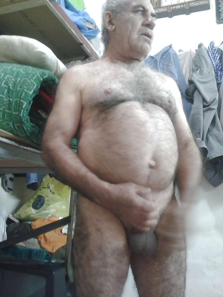16P Arab bear