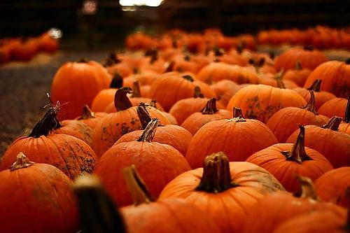 25P Happy Halloween !