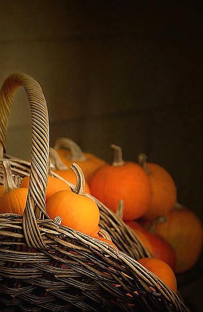 25P Happy Halloween !
