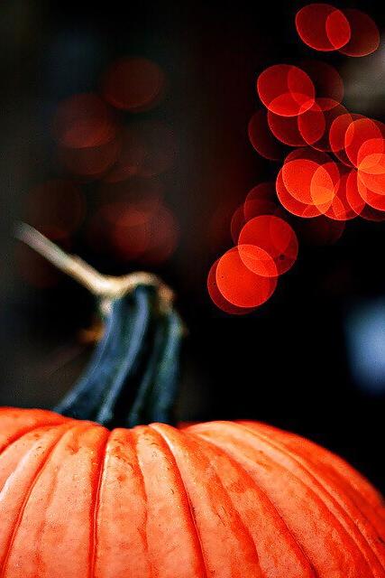 25P Happy Halloween !