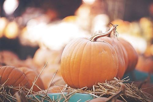 25P Happy Halloween !