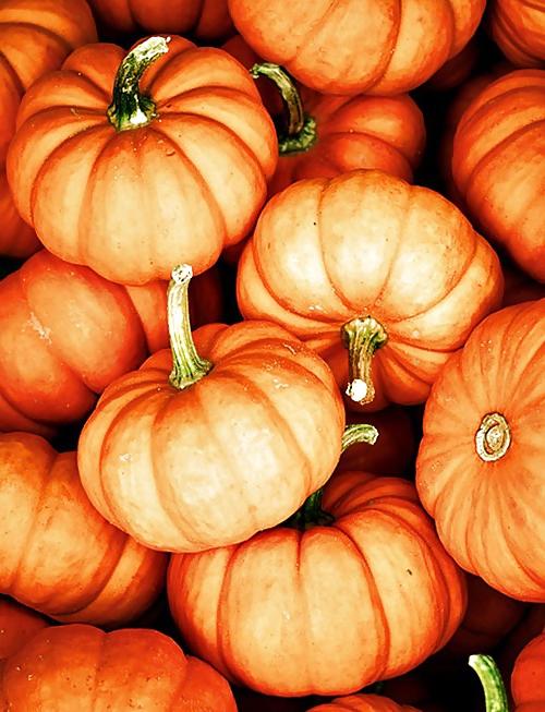 25P Happy Halloween !
