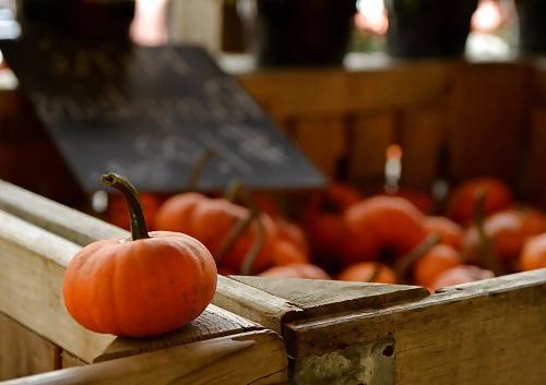 25P Happy Halloween !