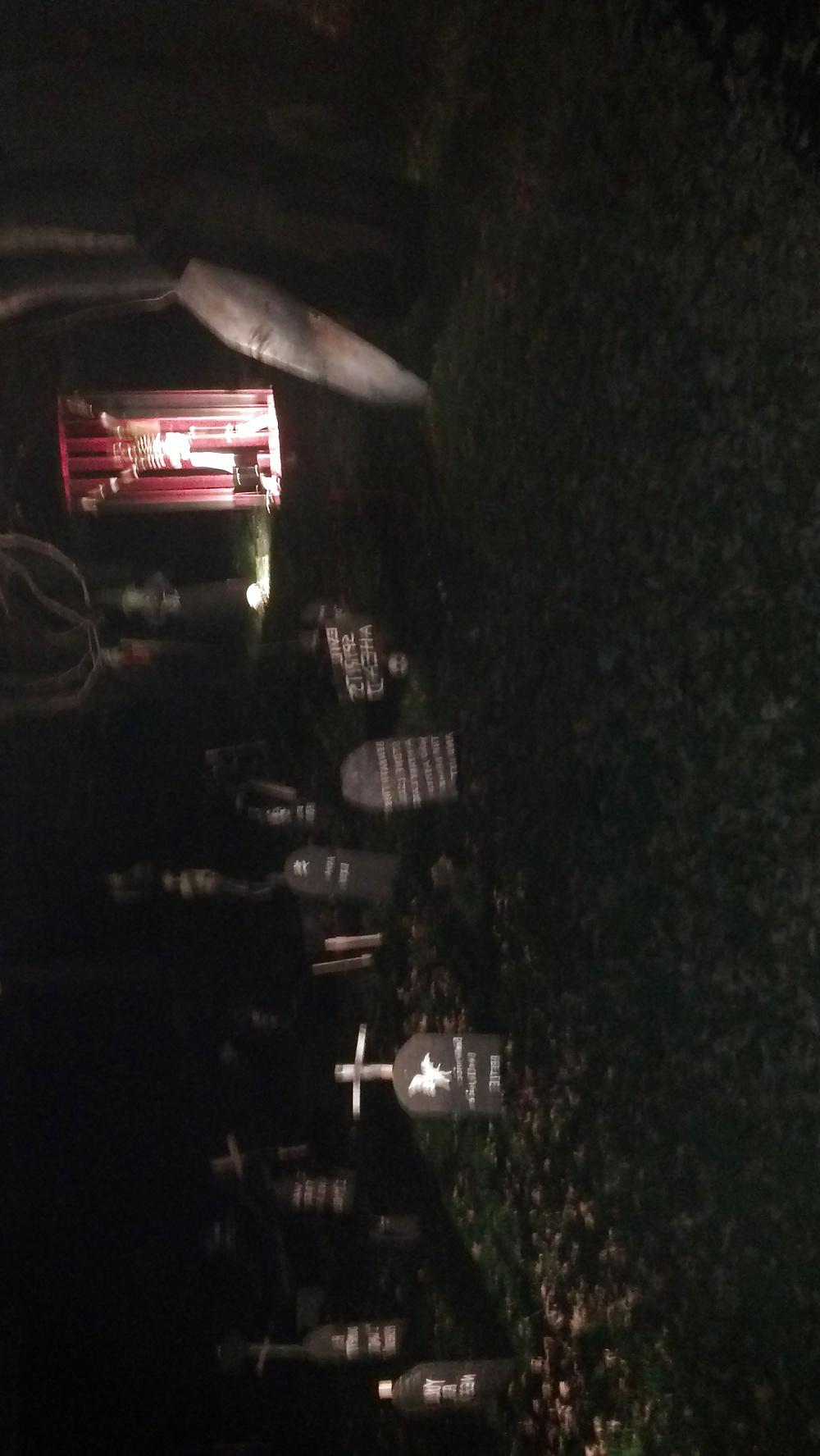 17P Halloween 2014 non nude