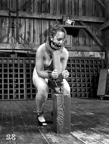 25P International Bondage Competition (please vote)