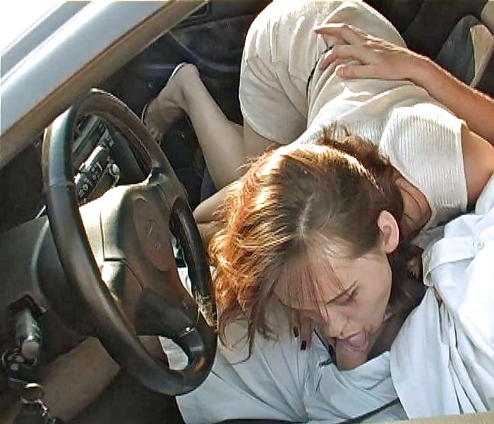 25P Favorite Auto  Companions 2