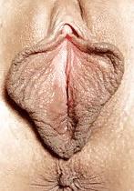 4P Do you want to lick my pussy