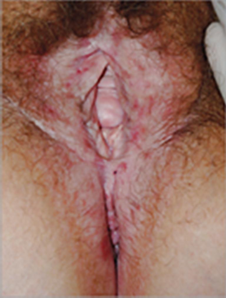 25P How long would you suck and lick these delicious