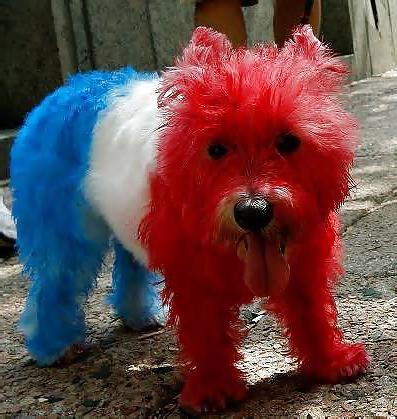 25P Happy 4th of July
