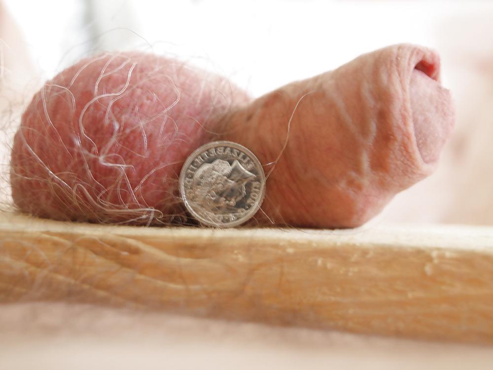 7P Small cock on a board 1