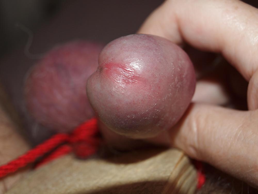 7P Small cock on a board 1