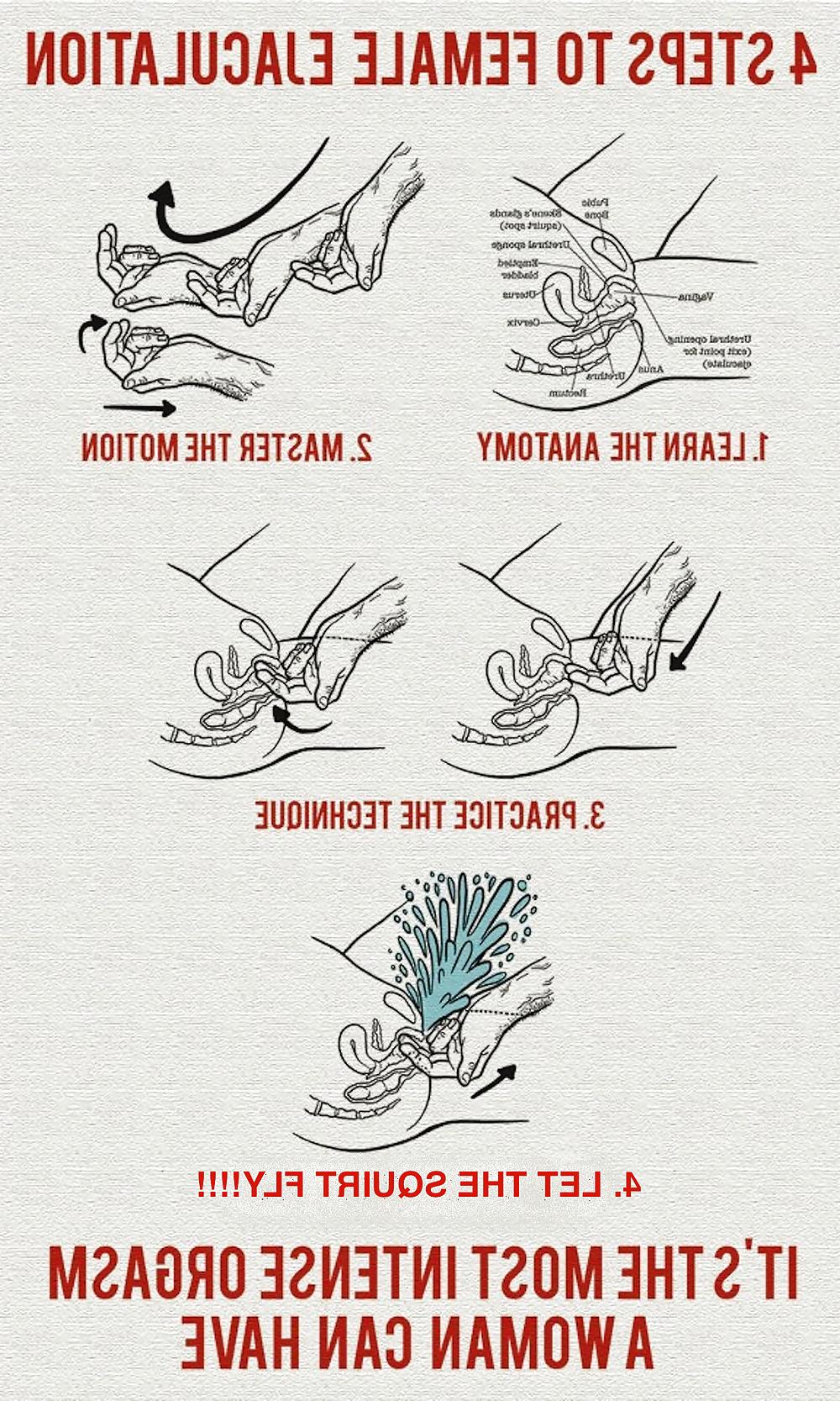10P Instructonal: Diagrams And Tips To Make A Woman Squirt 