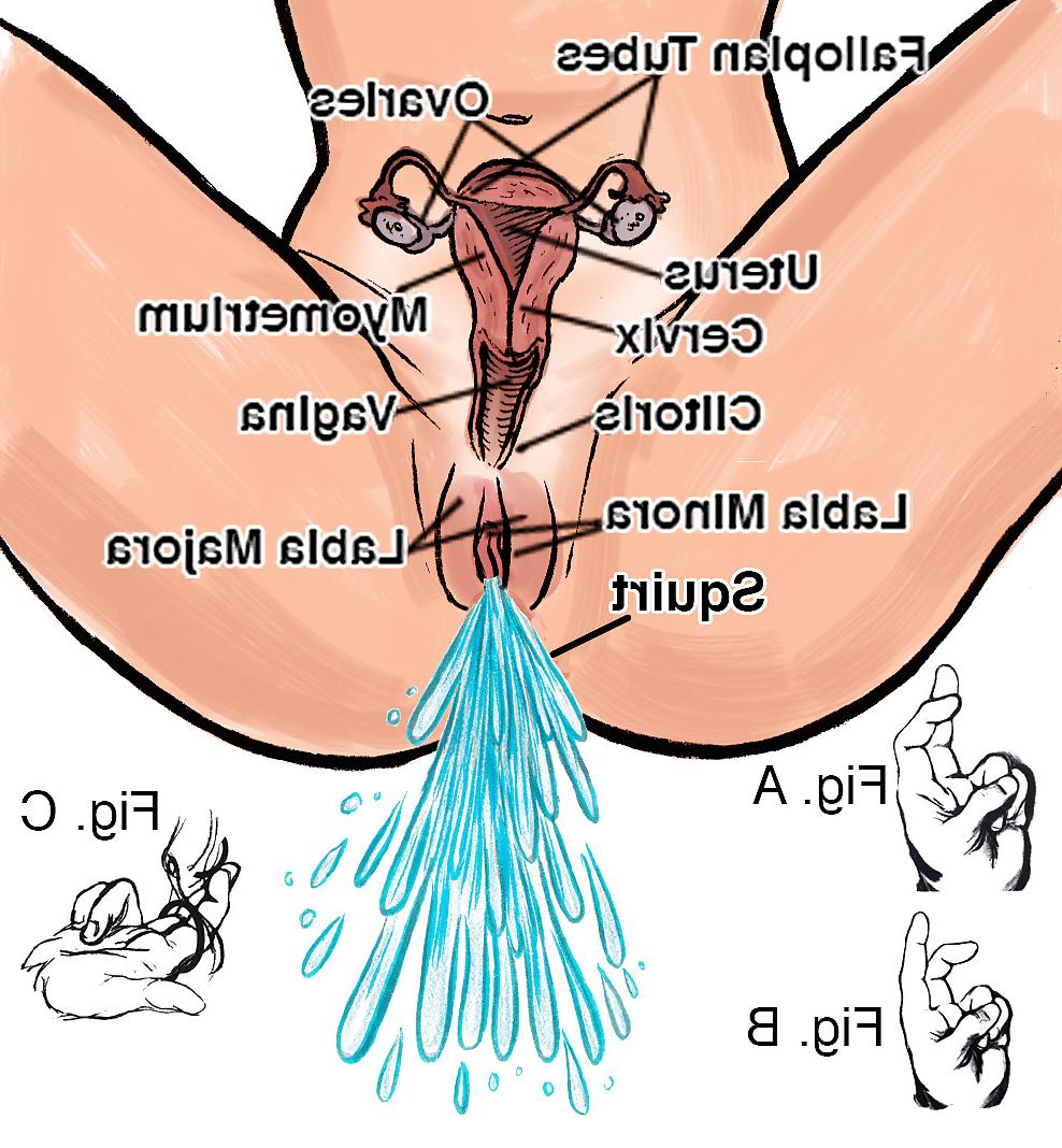 10P Instructonal: Diagrams And Tips To Make A Woman Squirt 