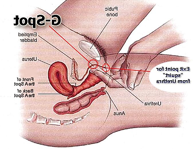 10P Instructonal: Diagrams And Tips To Make A Woman Squirt 