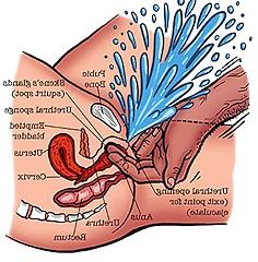 10P Instructonal: Diagrams And Tips To Make A Woman Squirt 