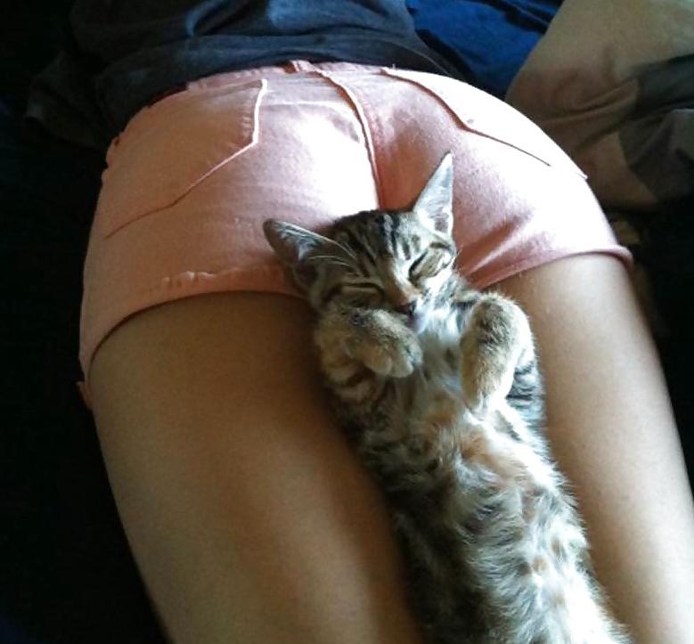 25P Funny sexy pics 4