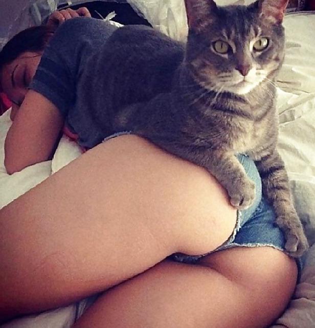 25P Funny sexy pics 5