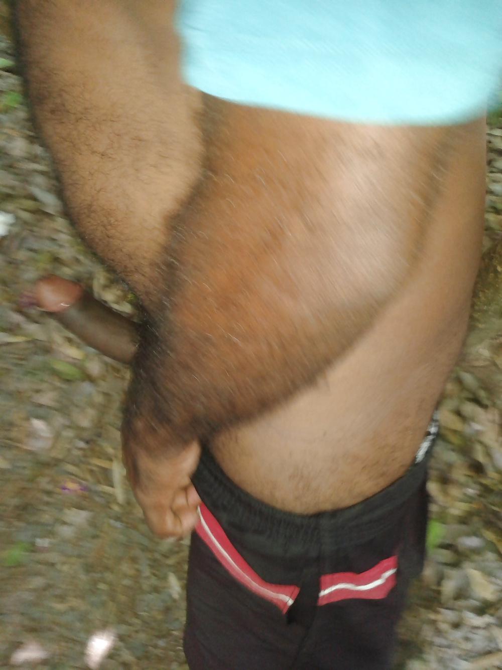 25P Bear top