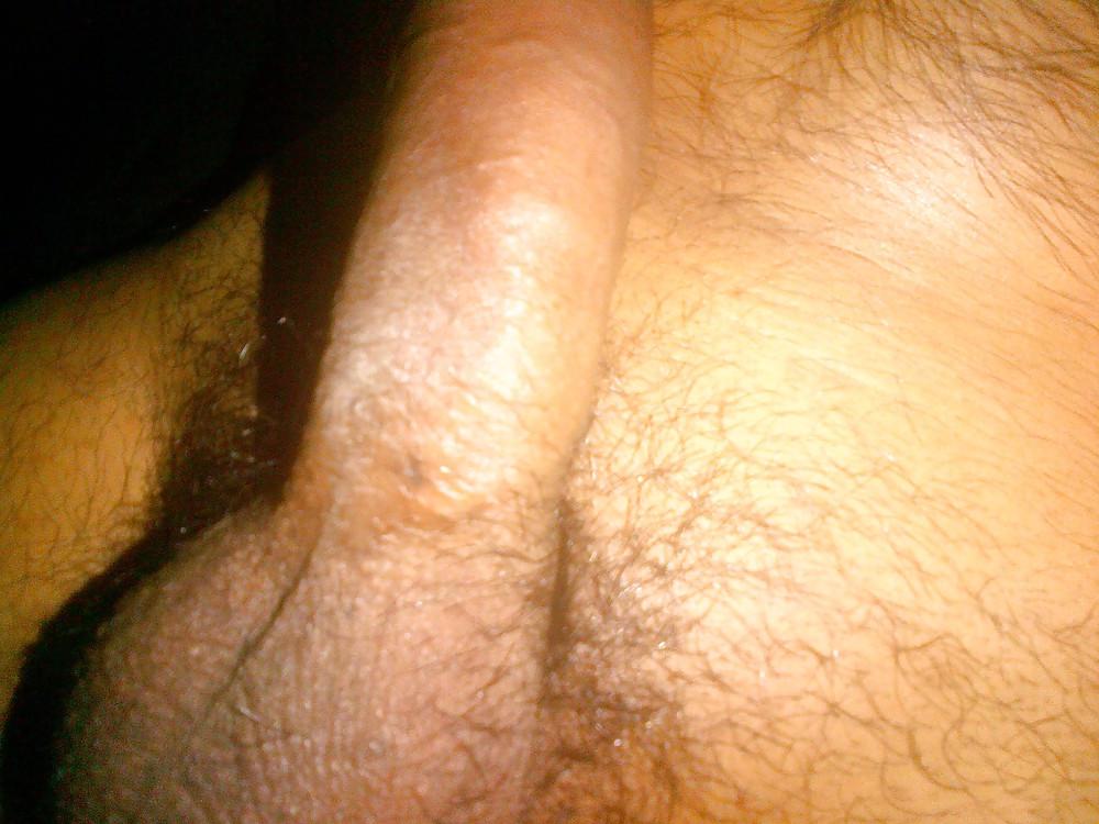 16P Desi indian cock