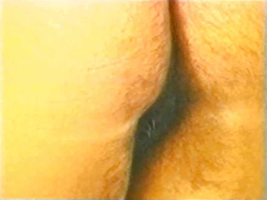 18P Sandra, very hairy babe 2