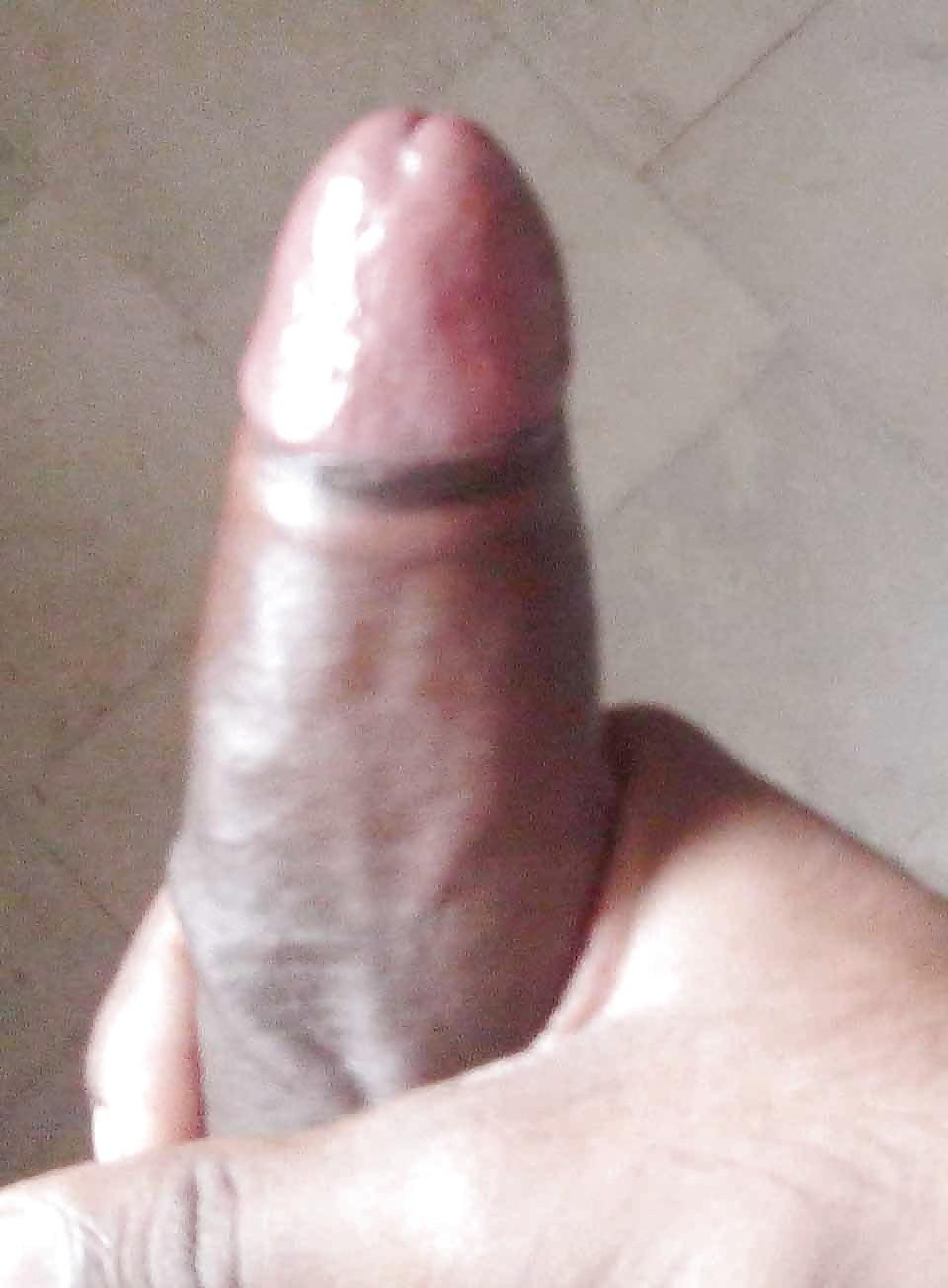 14P My desi dick