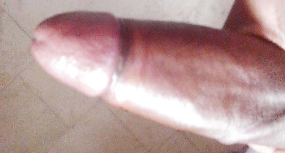 14P My desi dick