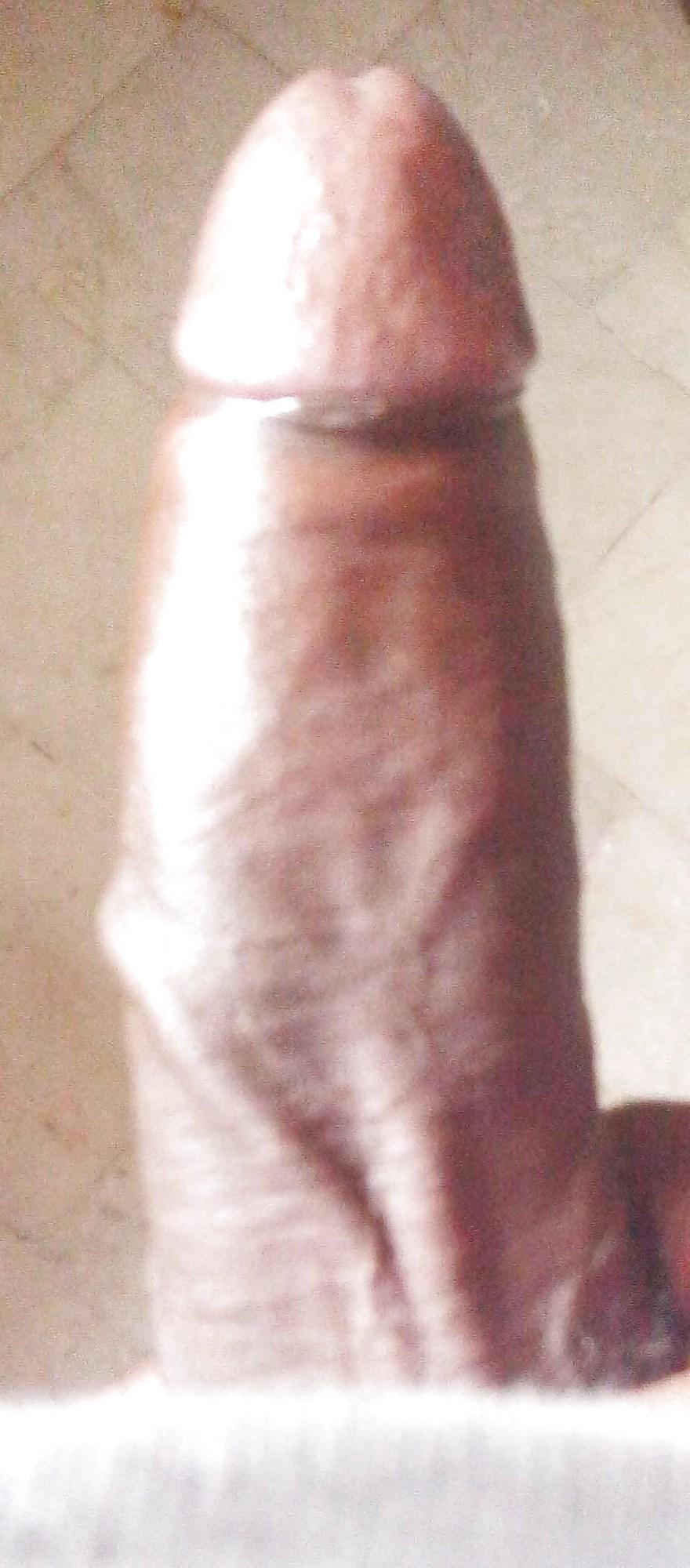 14P My desi dick