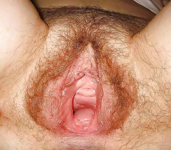 17P Some wide open pussy's