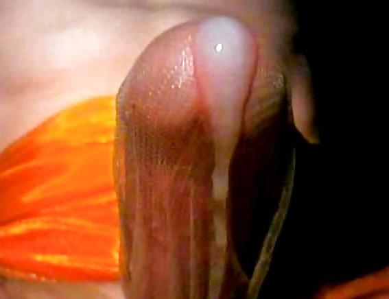 22P The exact moment a Guy Cums
