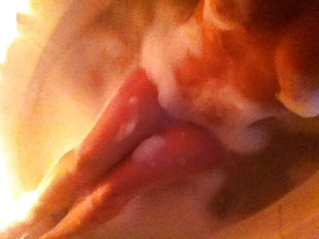 25P MILF Self Shots