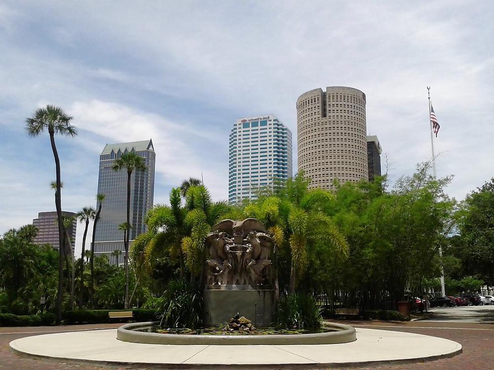 8P THIS IS CLITLICKER2014 : MY HOME, AND CITY, TAMPA, FLORIDA