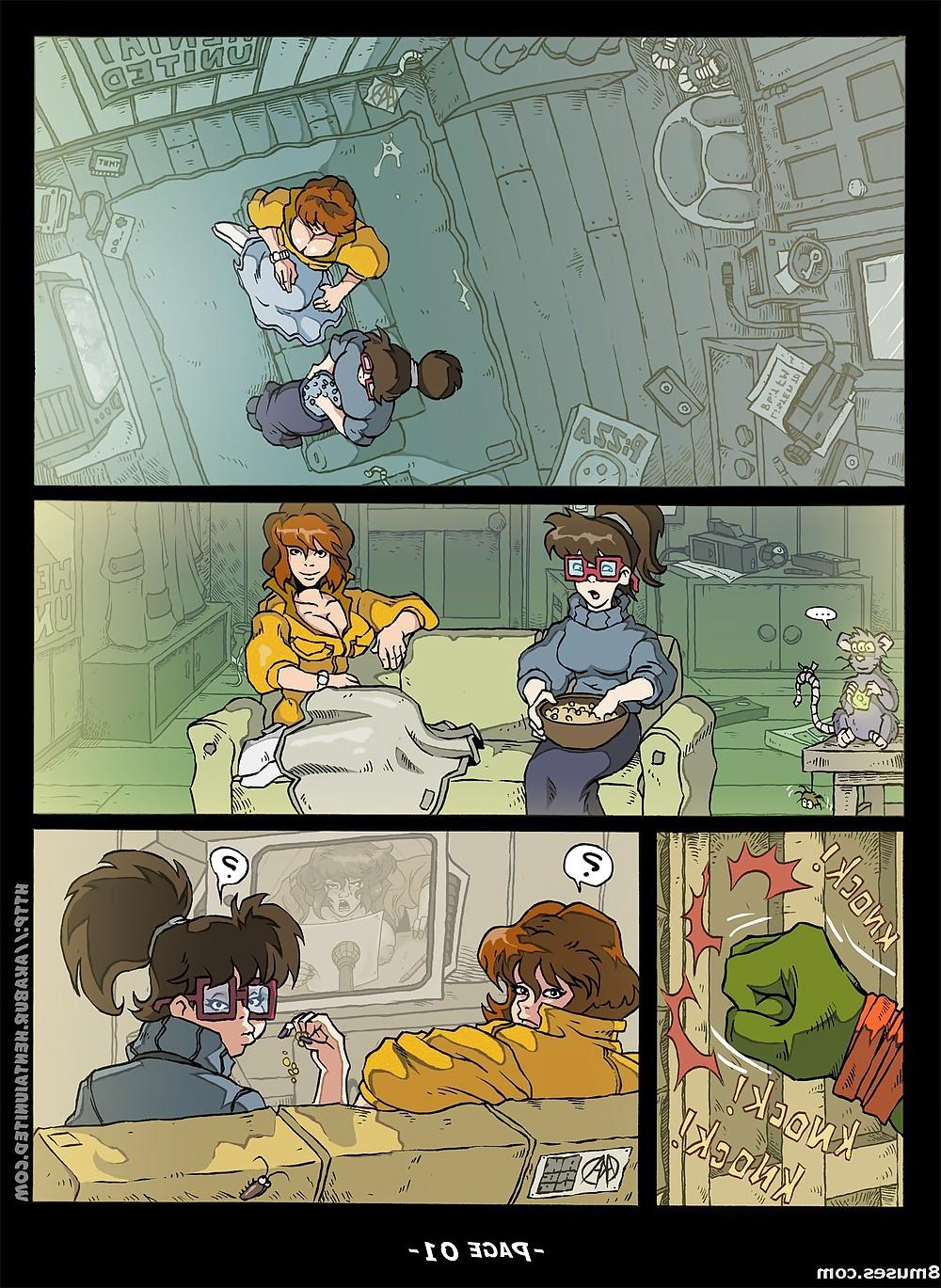 12P Akabur Turtle Ninja Comic