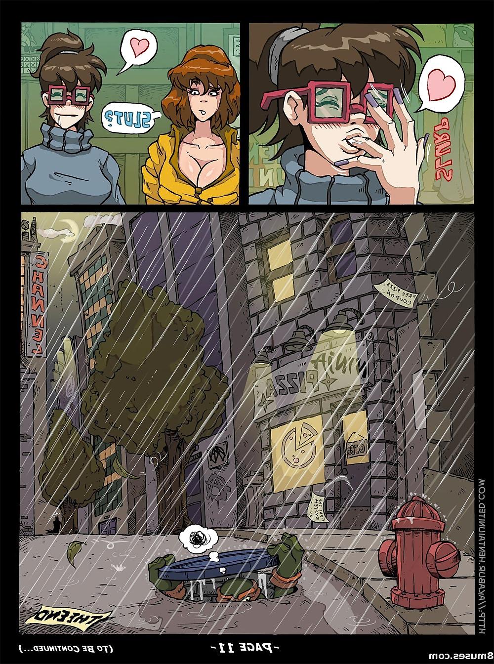 12P Akabur Turtle Ninja Comic