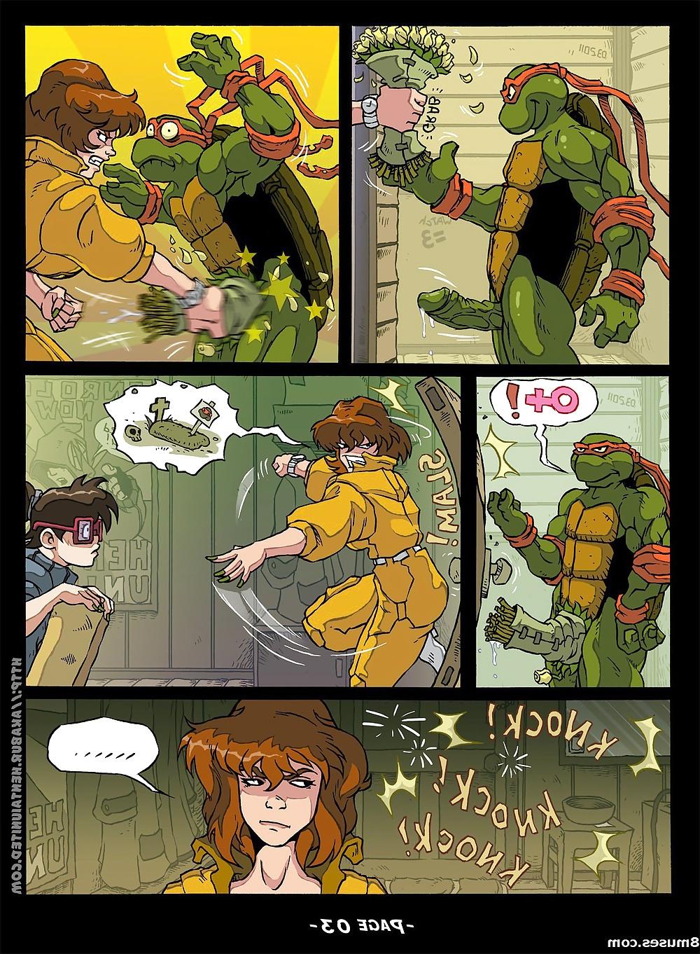 12P Akabur Turtle Ninja Comic
