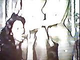 13P Sample photo's from hardcore video's 2