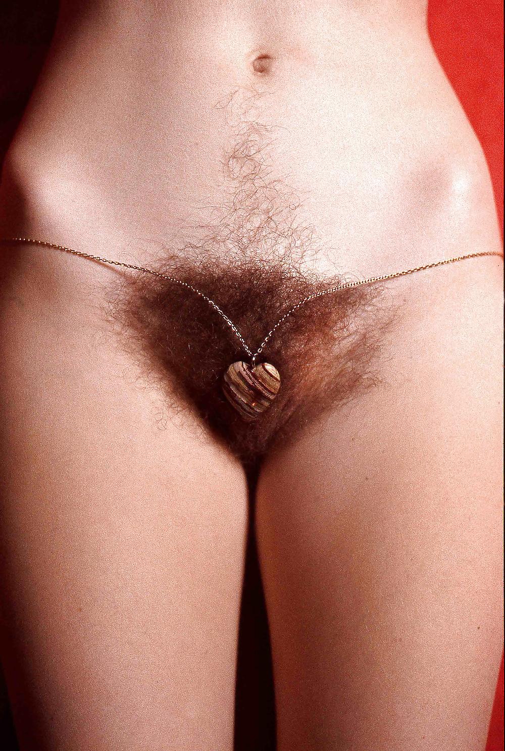 19P Sexy women with happy trails aka treasure trails 2