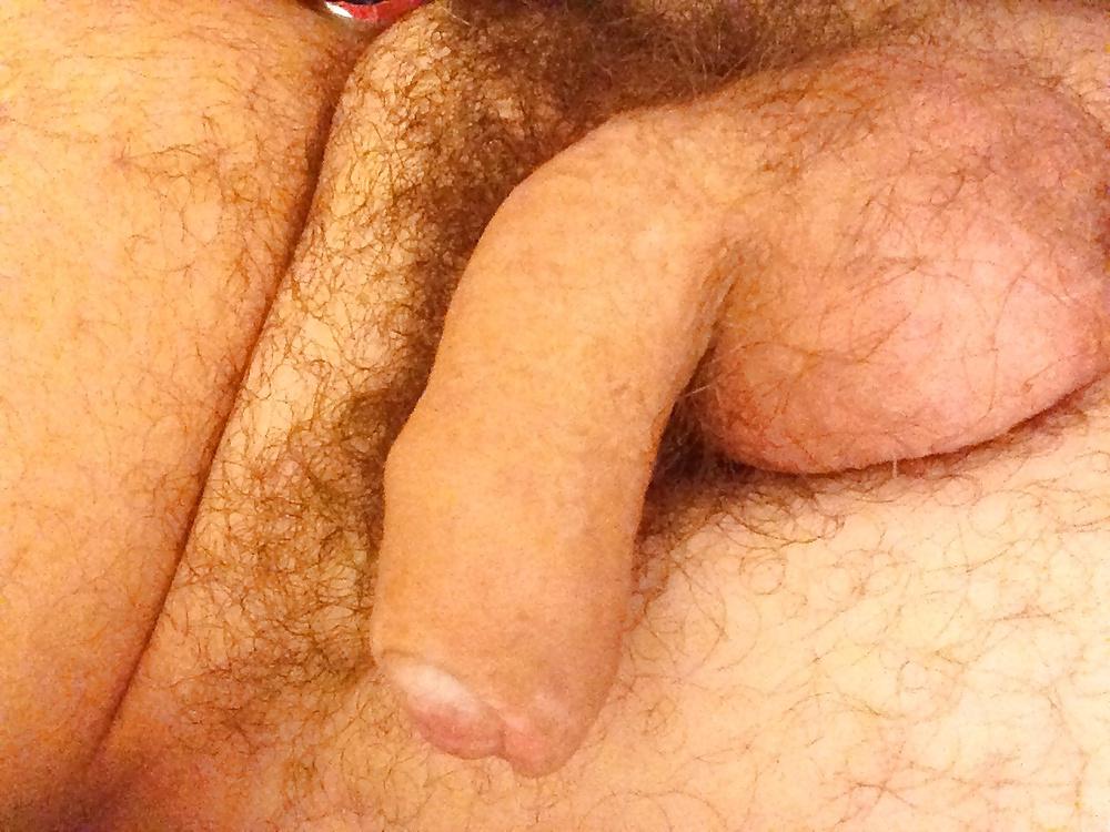 11P Old bear cock