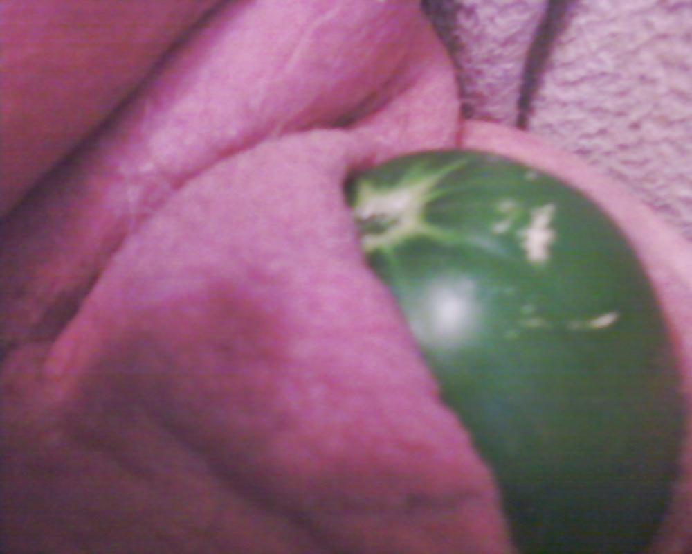 7P Veggies For Food 'N Fun