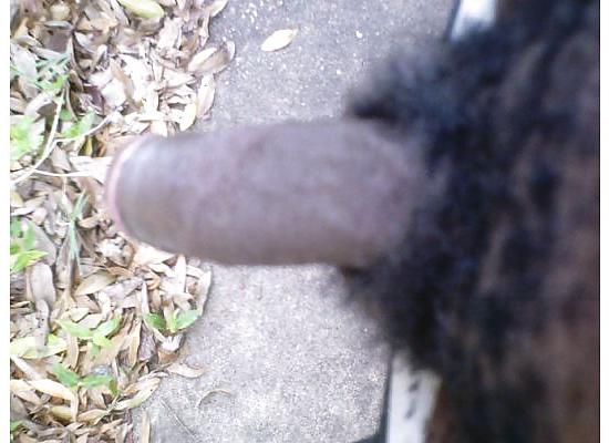 18P SUCK DADDY DICK