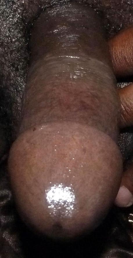 12P NightDog209